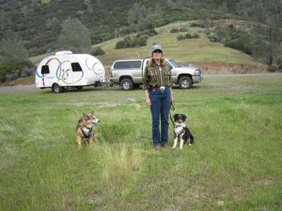 Dogs and Wendy with trailer